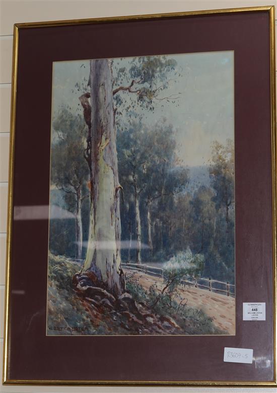 William Lister Lister Gum trees 52 x 35cm.